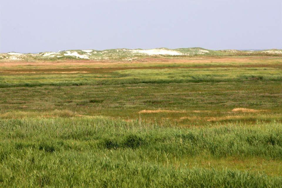 Ferienwohnung-Soltau-1-Og-Rechts Sankt Peter-Ording Bagian luar foto